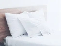 体験