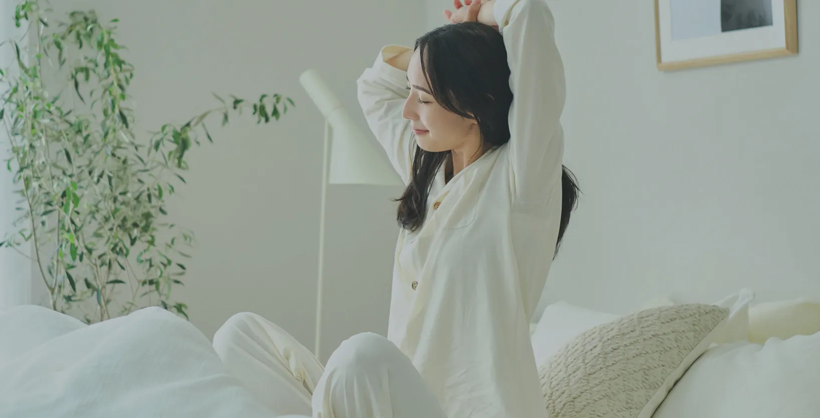 商品イメージ