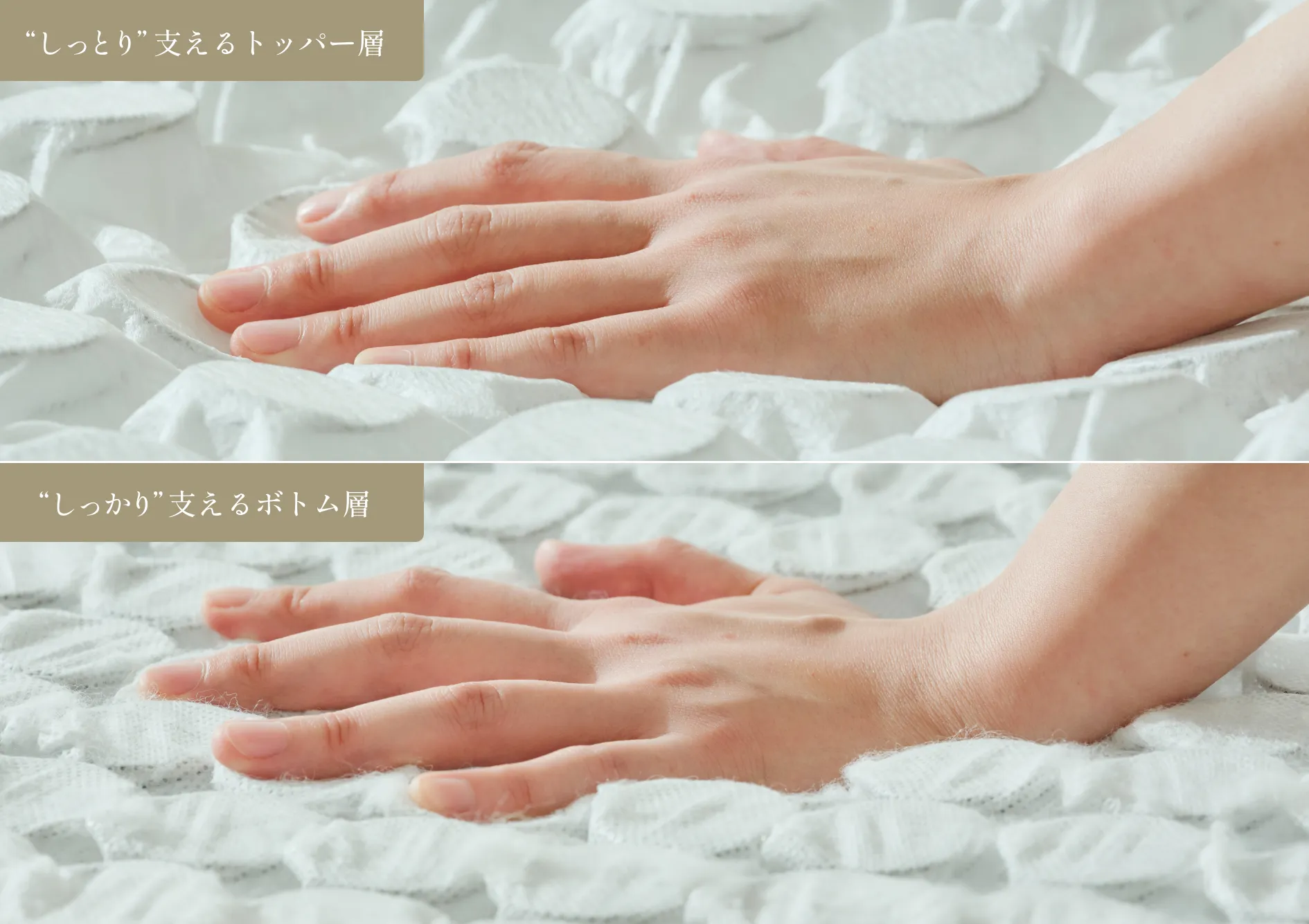 特徴